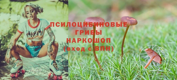 spice Покровск