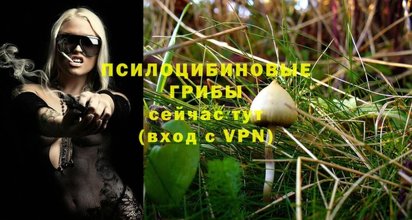 ALPHA PVP Баксан